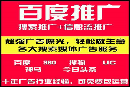 竞价推广策略：某电商平台的成功之路